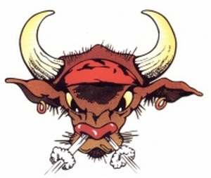 MAD BULL STICKER HOT DECO
