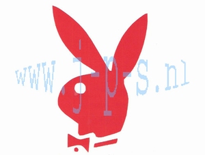 PLAYBOY GROOT ROOD
