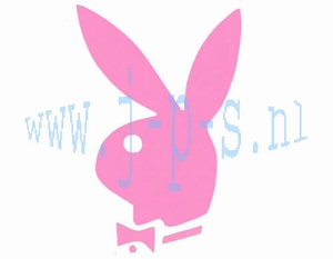 PLAYBOY GROOT ROZE
