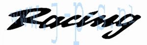 STICKER (PLOT) RACING GROOT ZWART