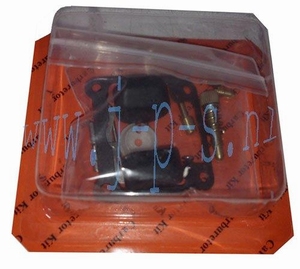 REPARATIE SET 13 DELIG DELLORTO/SPACO 17/21 PHBC/G