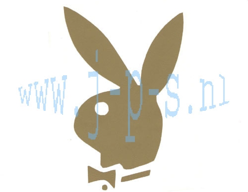 PLAYBOY GROOT GOUD