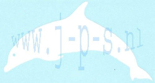 STICKER DOLFIJN WIT