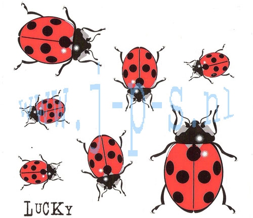 STICKERSET LUCKY (LIEVEHEERSBEESTJE)